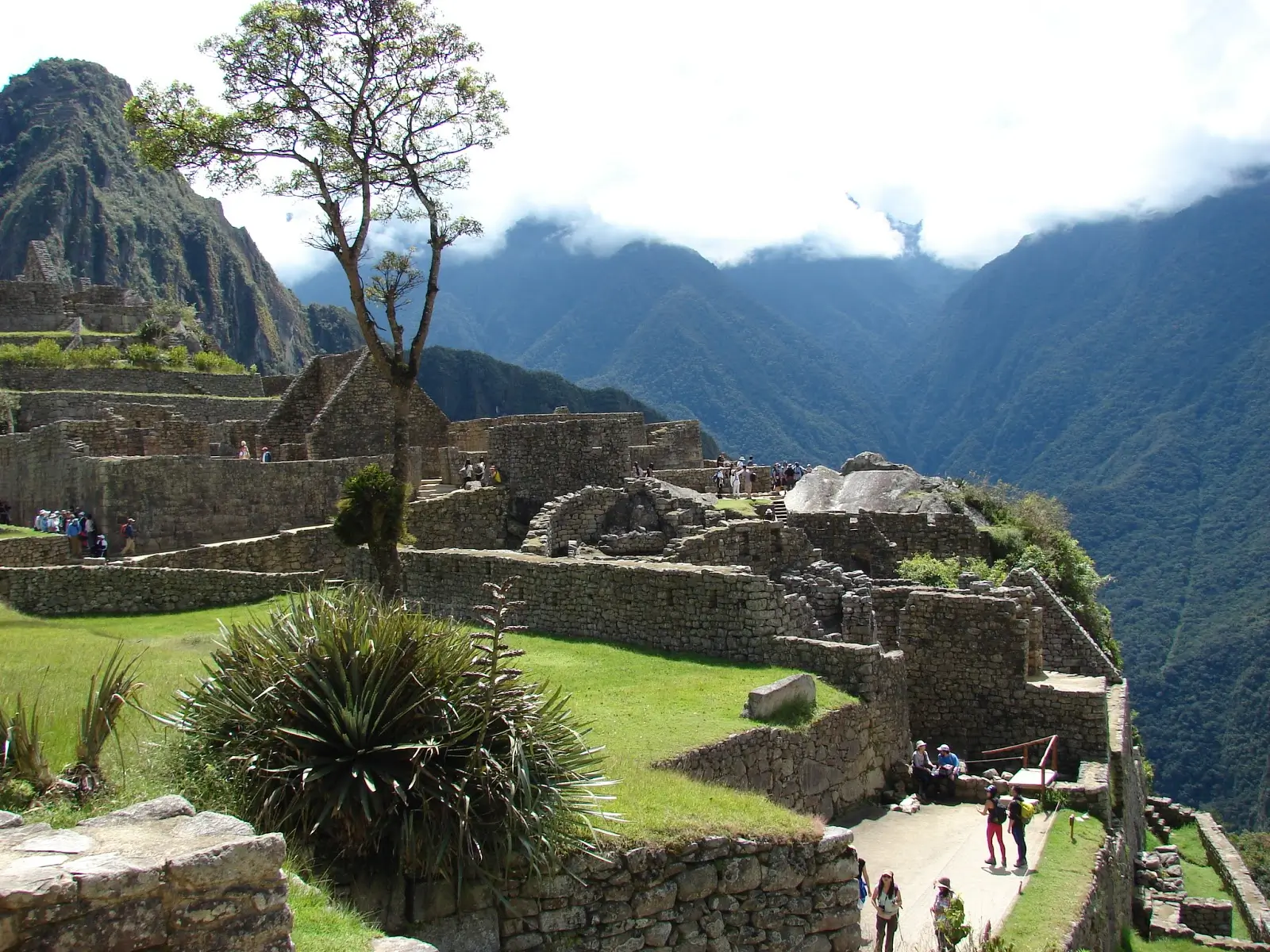 Pisonay Square Machu Picchu Circuit 2